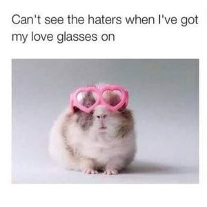 Meet your Posher, Mel